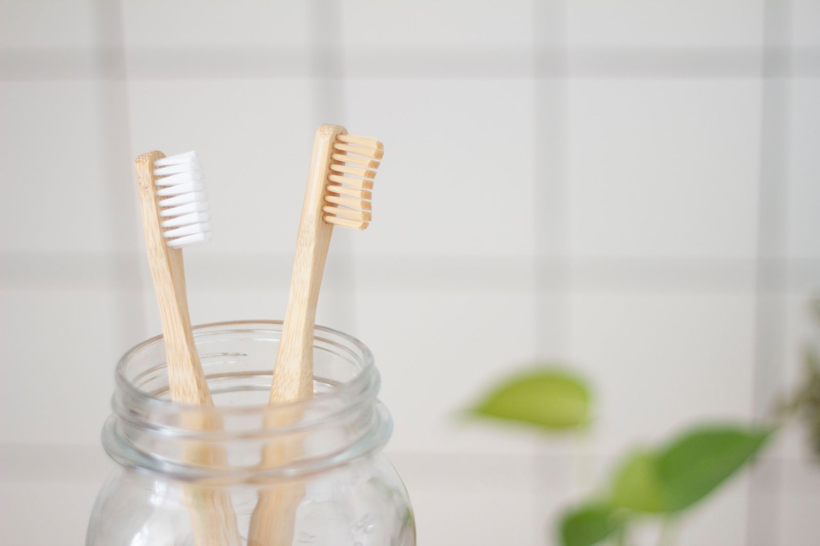 How to Disinfect a Toothbrush From Bacteria and Viruses Homeaglow
